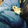 Profile Picture of James Callen (@@30653559737) on Tiktok