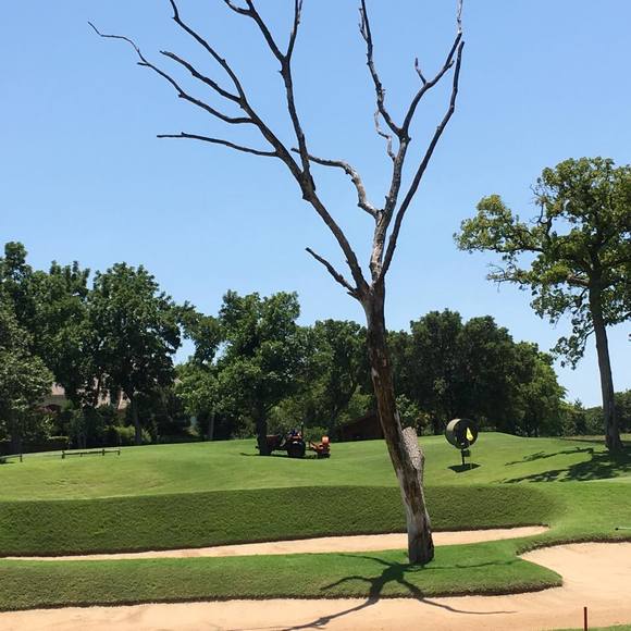 Profile Picture of Craig Cromley (@bc8002) on Poshmark