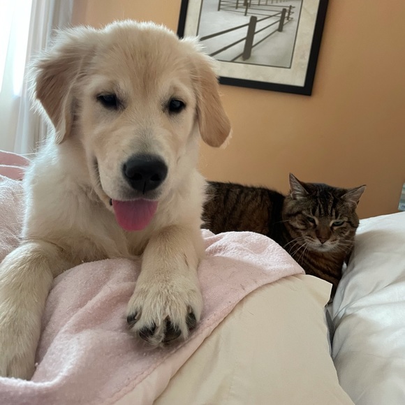 Profile Picture of Theresa Tousley (@trixie20267) on Poshmark