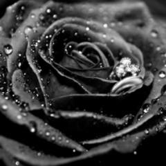 Profile Picture of Trần Lập (@TranLap164) on Twitter