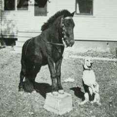 Profile Picture of Steve Reynolds (@RockinRoads) on Twitter