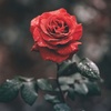 Profile Picture of Bianca Winter (@@bibi7512) on Tiktok