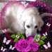 Profile Picture of Dany Reiss (@dany.reiss.98) on Facebook