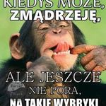 Profile Picture of Tomasz Cylkowski (@cylkowskitomasz) on Instagram