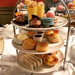 Profile Picture of ashkim (@ashleekim54) on Instagram