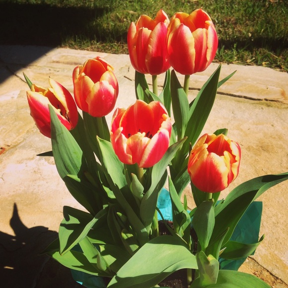 Profile Picture of Hillary Mazac (@hcmazac) on Poshmark