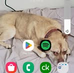 Profile Picture of Brian Frishman (@Brian-Frishman) on Facebook