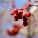 Profile Picture of HERETH (@hereth50izmarkes) on Instagram