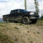 Profile Picture of Brandon Buffalo Miller (@thorf150) on Instagram