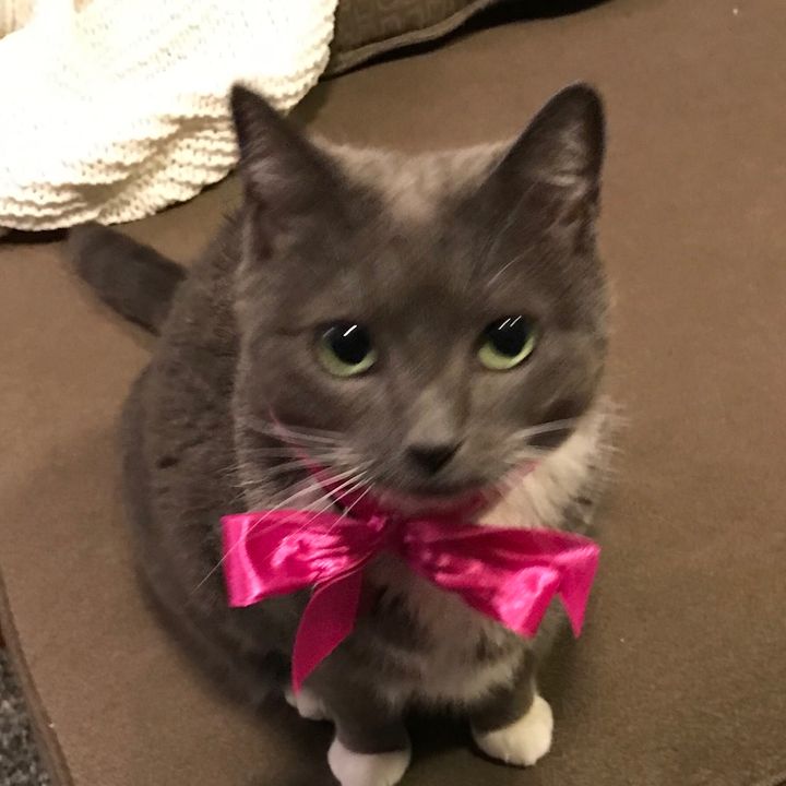 Profile Picture of jessicawitherell (@jessicawitherell3) on Tiktok