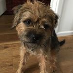 Profile Picture of Sue Dawes (@wivenhoewriter) on Instagram