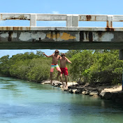 Profile Picture of Lisa Shields (@lisashields1714) on Youtube