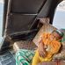 Profile Picture of Rahul Gupte (@rahul.gupte.7509) on Facebook