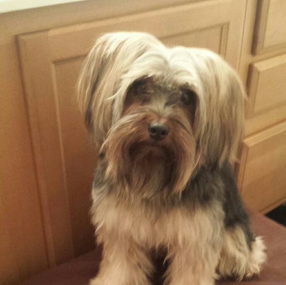 Profile Picture of Lakisha Evans (@brownie9874) on Poshmark