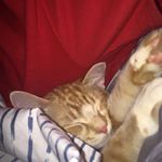 Profile Picture of michael_kisner (@michael_kisner) on Instagram