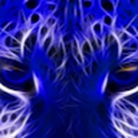 Profile Picture of Thomas Neiman (@thomas-neiman-3) on Quora