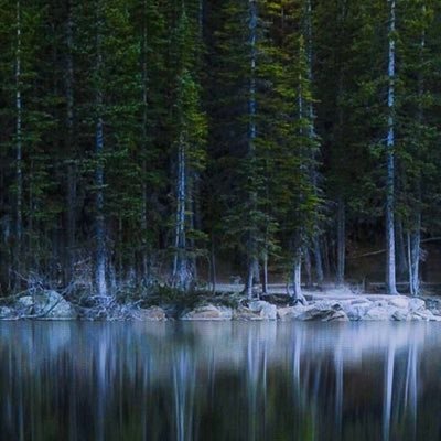 Profile Picture of Grant Hanson (@hansongrant) on Twitter