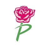 Van der Plas Flowers & Plants 🌎🇳🇱 - Instagram Profile Picture of Van der Plas Flowers & Plants 🌎🇳🇱 (@vanderplasflowersplants) on Instagram