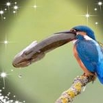 Profile Picture of Keith Pitchford (@keithpi098) on Instagram