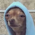 Nicholas Charley - Facebook Profile Picture of Nicholas Charley (@Nicholas-Charley) on Facebook