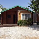 Profile Picture of Cammy Campbell (@annettej91) on Instagram