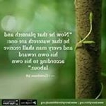 Profile Picture of Derek Kincaid (@kincaidderek) on Instagram