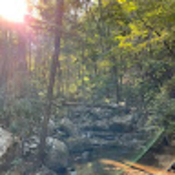 Profile Picture of Seth Matlock (@smatlock34) on Poshmark