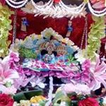 Profile Picture of Vani Jain (@vani4076) on Instagram