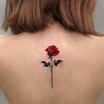 Profile Picture of FRISCA PETER 🌹 (@frix.peter) on Instagram