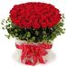 Profile Picture of Mariam Fahim (@mariam.fahim.313) on Facebook