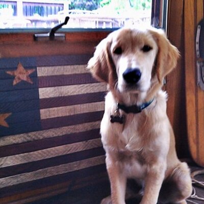 Profile Picture of Dan Mathison (@dmathison12) on Twitter