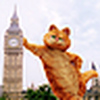 Profile Picture of faisal shahzad (@fshahzad62@yahoo.com) on Flickr