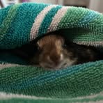 Profile Picture of Andy Enfield (@andy.enfield) on Facebook