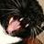 Profile Picture of Chris Ashwell (@christopher_michael_ashwell) on Flickr