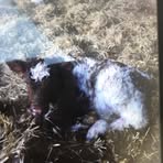 Profile Picture of Graham Willoughby (@graham.willoughby.583) on Facebook