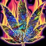 Profile Picture of Whalen Steven (@whalen.steven) on Instagram