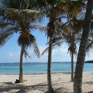 Profile Picture of Serge Laurent (@serge.laurent.96) on Facebook
