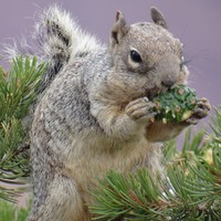 Profile Picture of Chloe Baer (@chloe-baer-4) on Quora