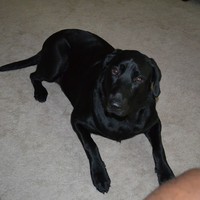 Profile Picture of Terrence Graham (@terrence-graham-6) on Quora