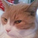 Profile Picture of Janet Griebel (@janetgriebel) on Instagram