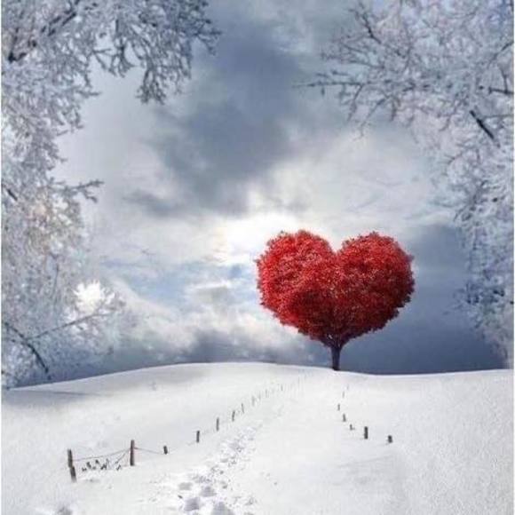 Profile Picture of Peggy Lubecki (@atypicalfairy) on Poshmark