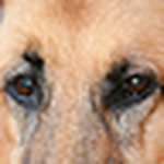 Profile Picture of Michelle Hannah (@crazy shell) on Flickr