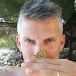 Profile Picture of David Pesce (@davidpesce77) on Instagram