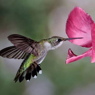 Profile Picture of Marilyn Smalley (@marilyn.smalley.75) on Facebook