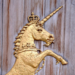 Profile Picture of Dennis Conrad (@www.fotogenese.de (Axel Zucken)) on Flickr