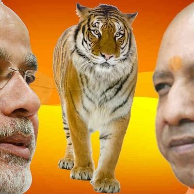 Profile Picture of Sridhar Iyengar (@rZhjvgulrceMZ6a) on Twitter