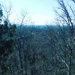 Profile Picture of Elvis Sandoval (@elvis_s11) on Instagram