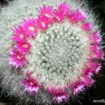 Profile Picture of amal_askar_1993 (@amal_askar_1993) on Instagram