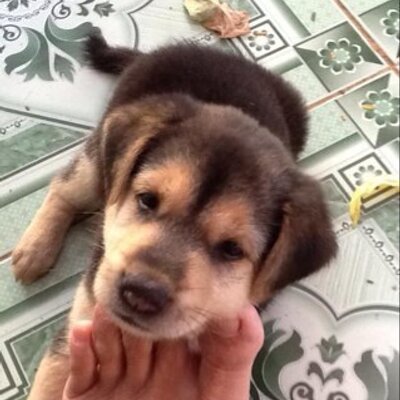 Profile Picture of Huynh Thanh Hien (@hienhuynh65) on Twitter