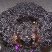 Profile Picture of Alex Golden (@alexgolden2266) on Youtube